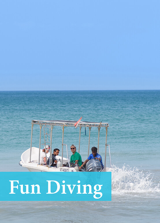 Best Price for Fun Diving and diving packages in Sri Lanka with Divinguru