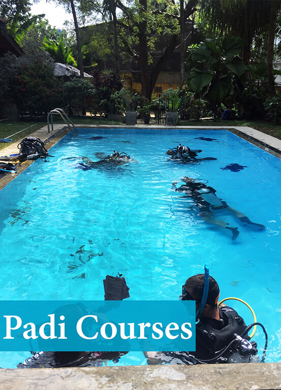 PADI Scuba Diving Courses including accommodation in Sri Lanka activities for the whole family